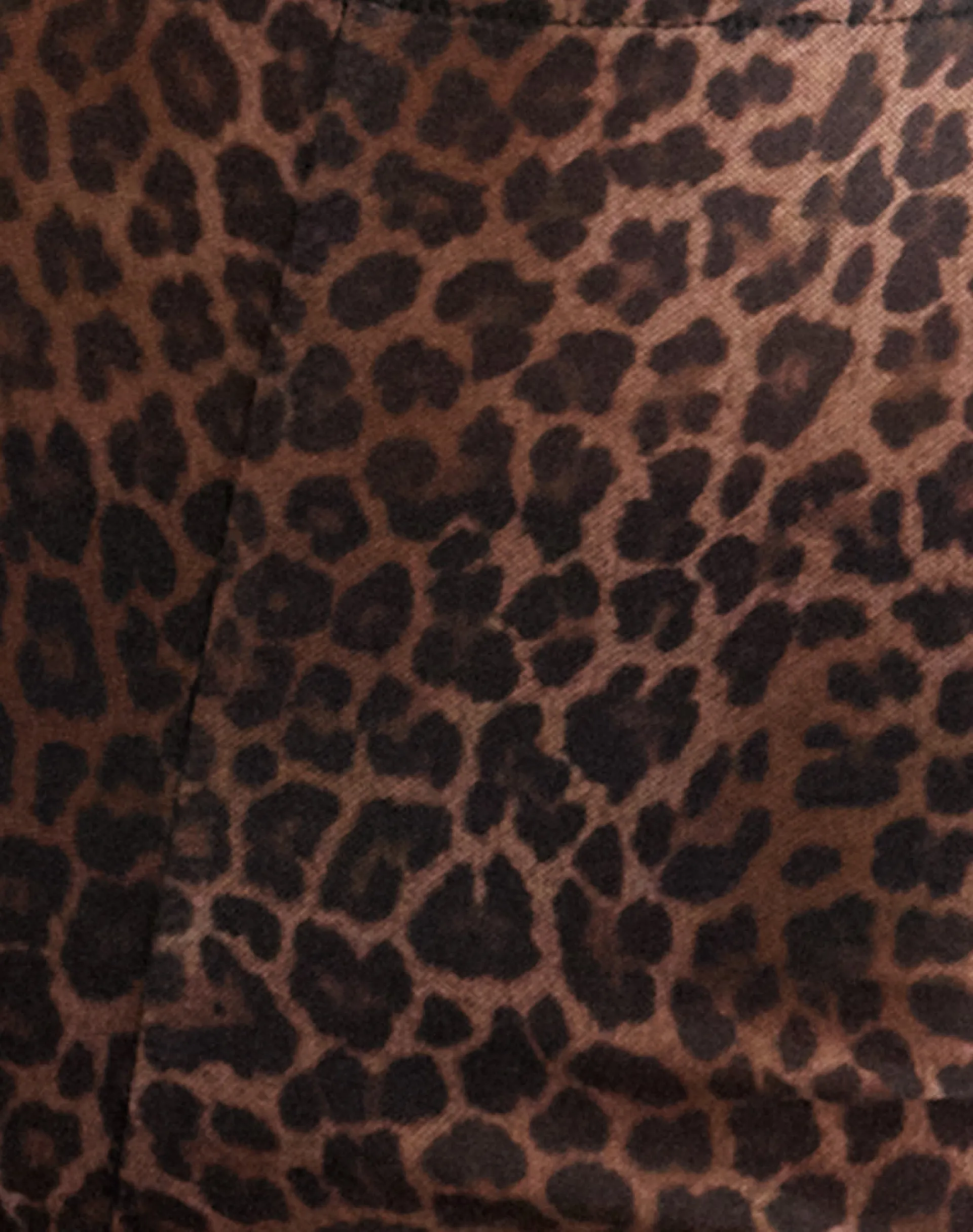 Motel Rocks Micro Shorts-Ciana Hot Pants in Mesh Rar Leopard