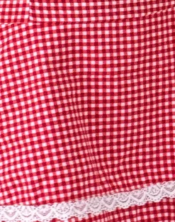 Motel Rocks Printed Dresses | Day Dresses-Flossie Mini Dress in Red Gingham