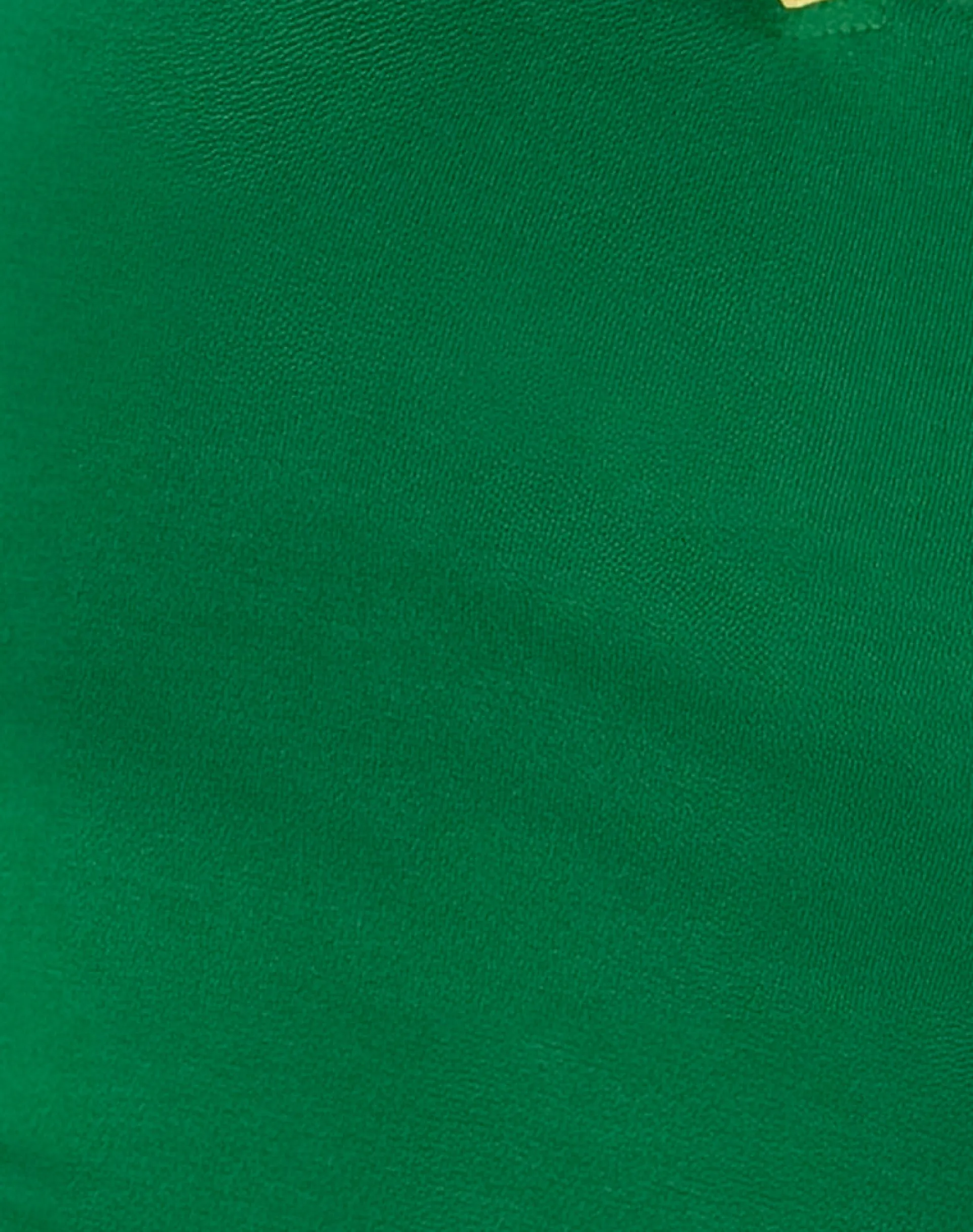 Motel Rocks Tees-Isda Top in Bush Green with Lemonade Binding BushGreenwithLemonadeBinding