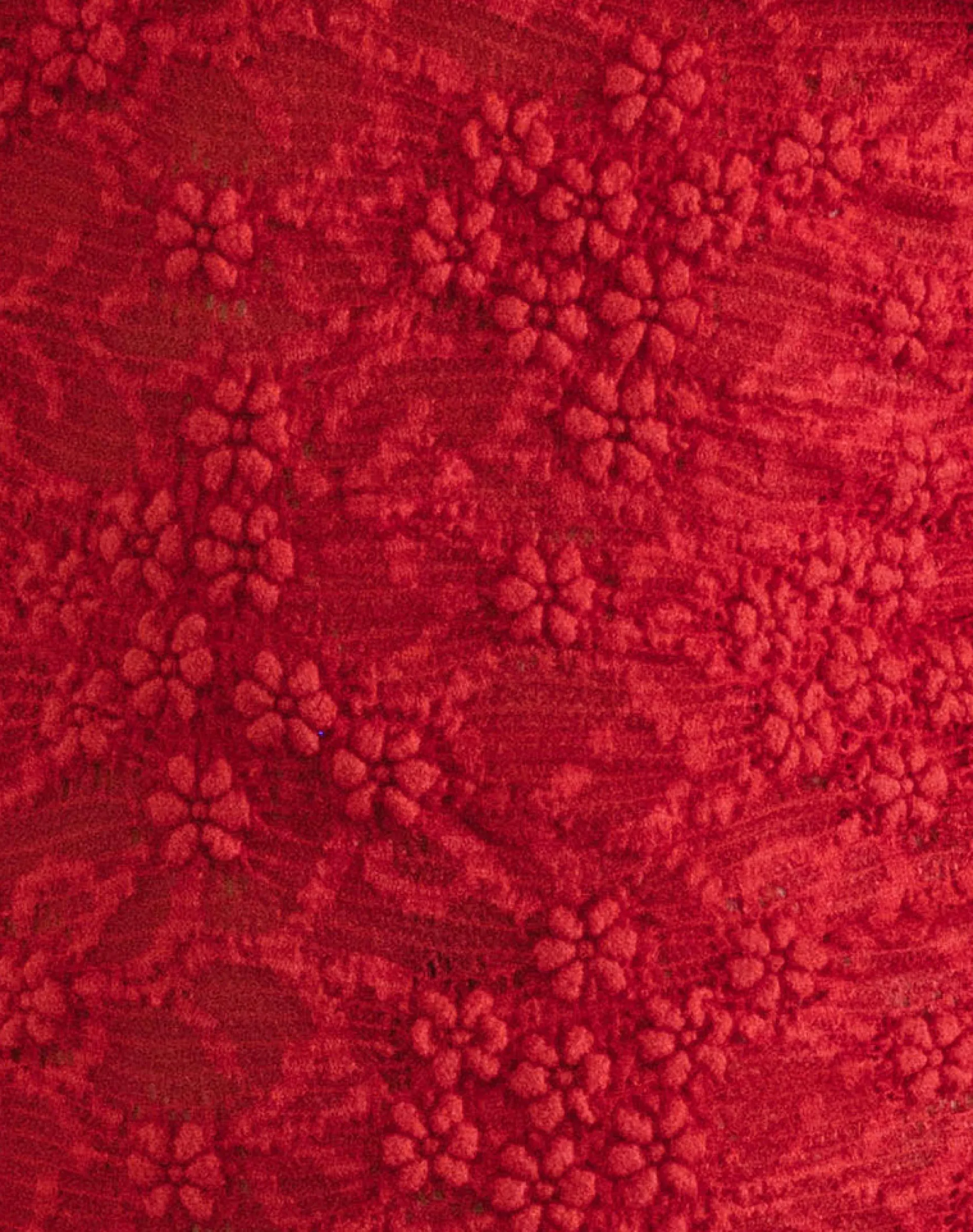 Motel Rocks Bodycon Dresses | Mini Dresses-Ismene Mini Dress in Unlined Lace Red