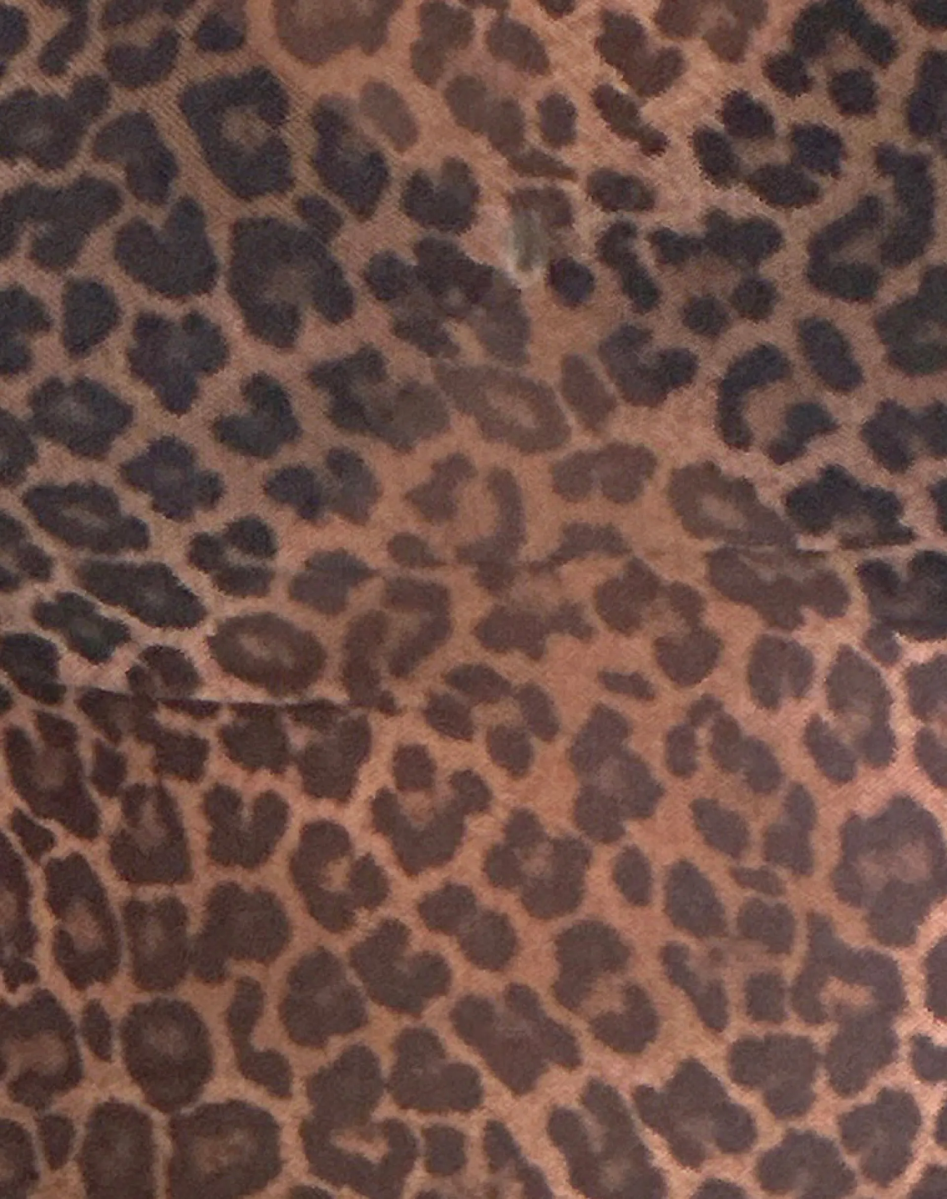 Motel Rocks Printed Tops | Strappy Tops-Jiraya Top in Mesh Printed Rar Leopard