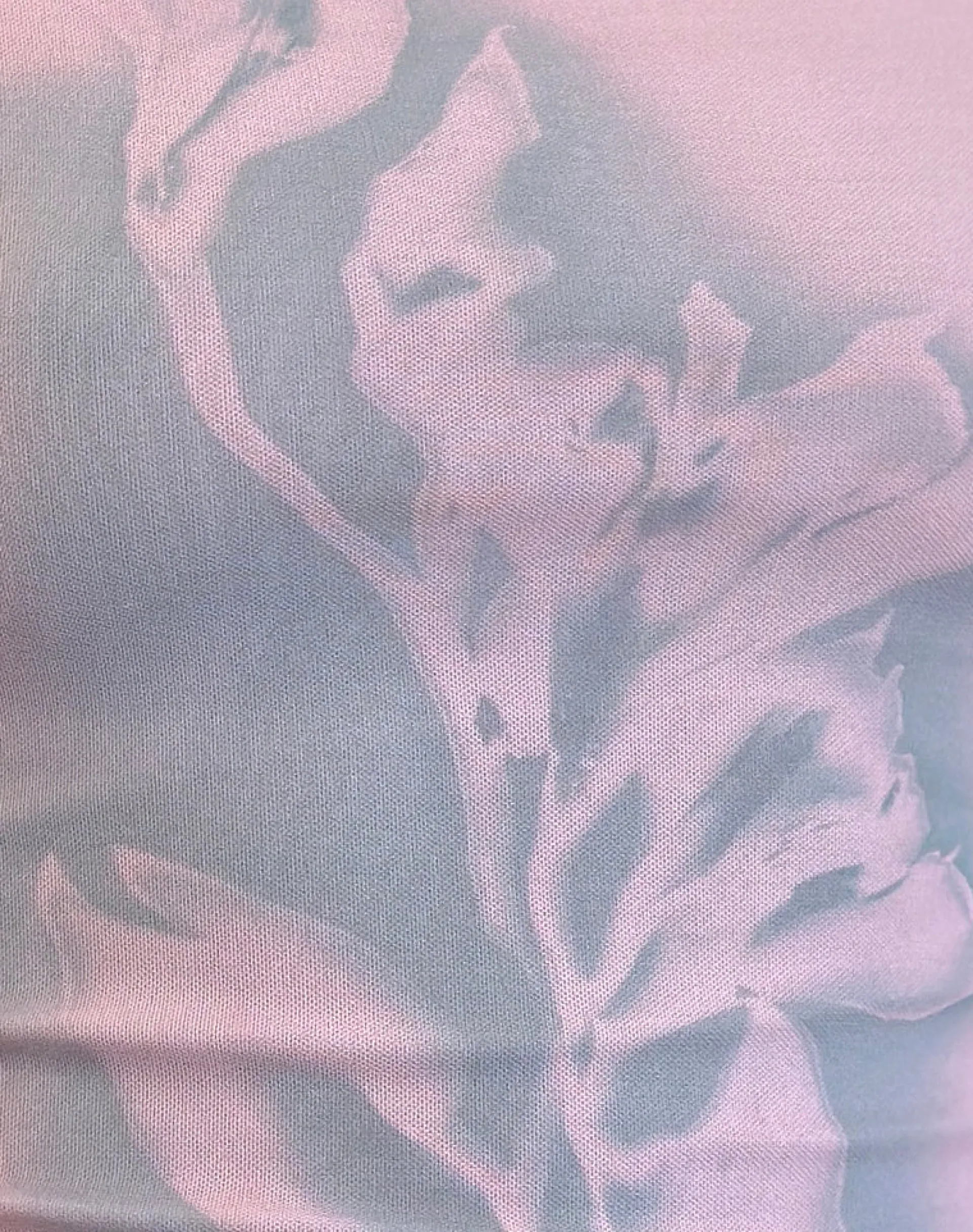 Motel Rocks Printed Tops | Long Sleeve Tops-Lutana Top in Lumen Mesh Peach LumenMeshpeach