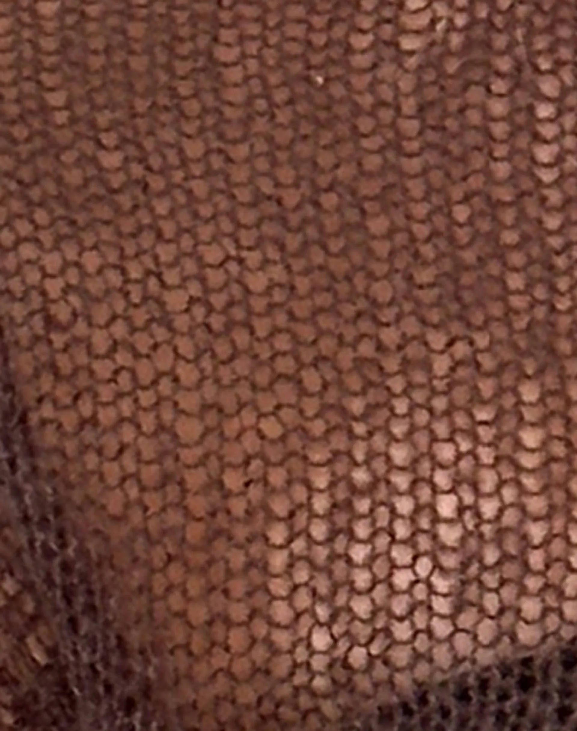 Motel Rocks Long Sleeve Tops-Manon Long Sleeve Sheer Knit Top in Chocolate Brown