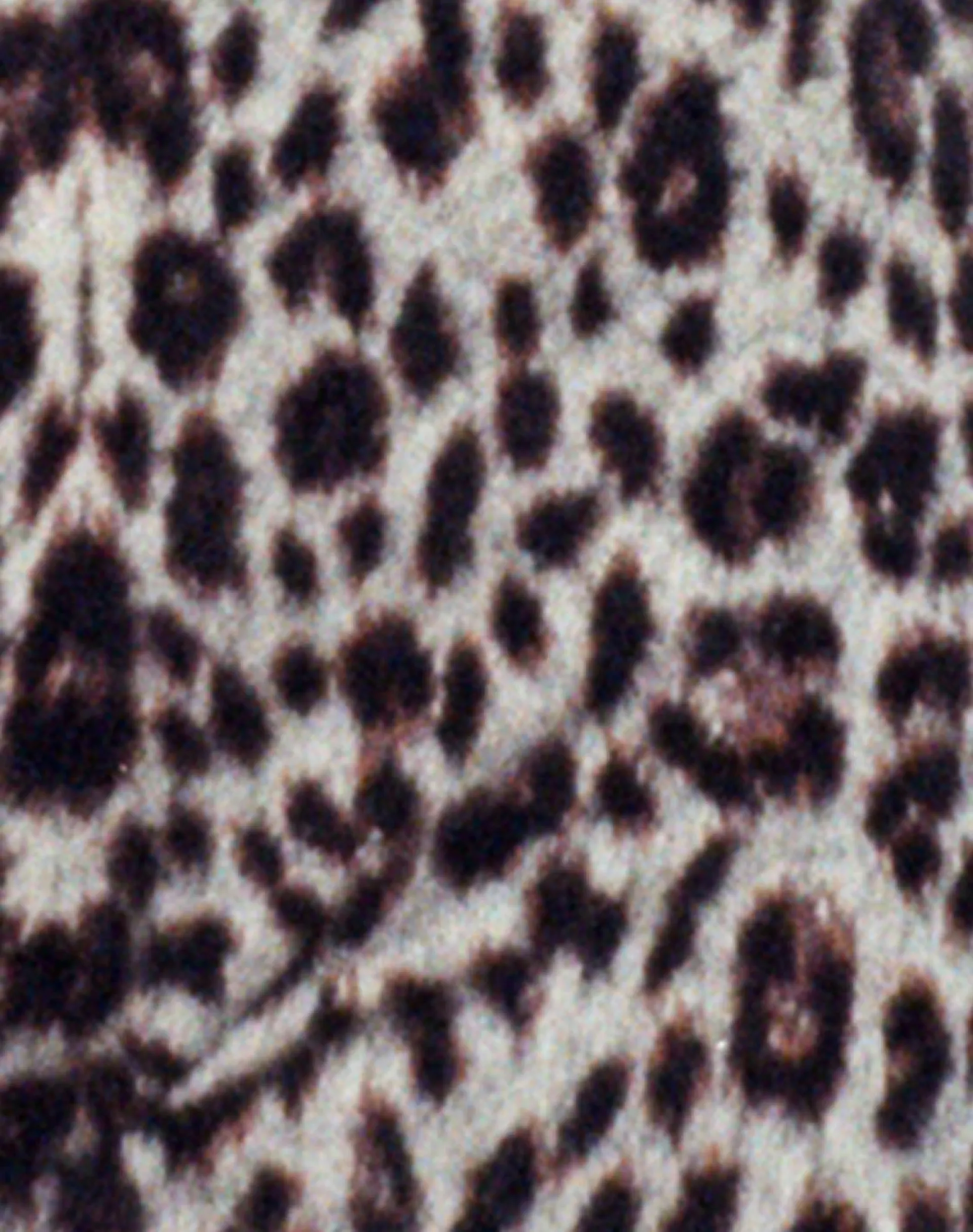 Motel Rocks Micro Shorts-Nikaya Short in True Leopard Brown TrueLeopardBrown
