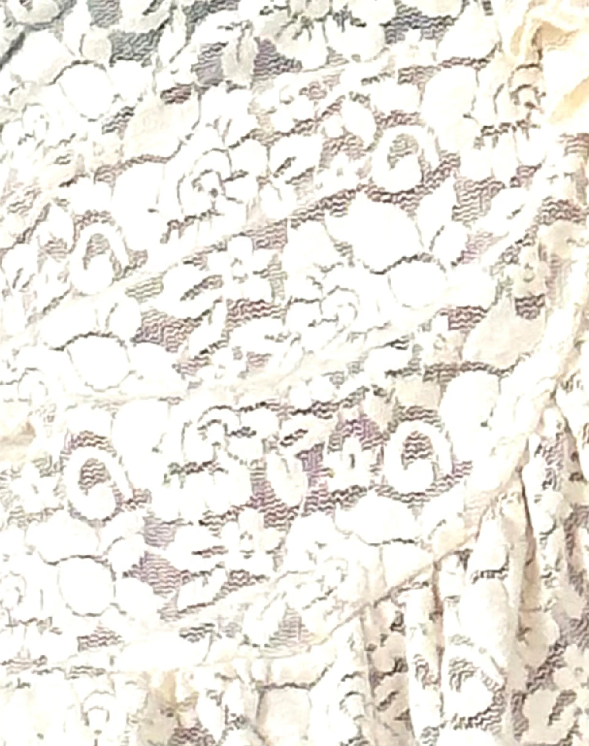 Motel Rocks Cardigans | Printed Tops-Noemi Cardigan in Rose Lace Ivory RoseLaceIvory