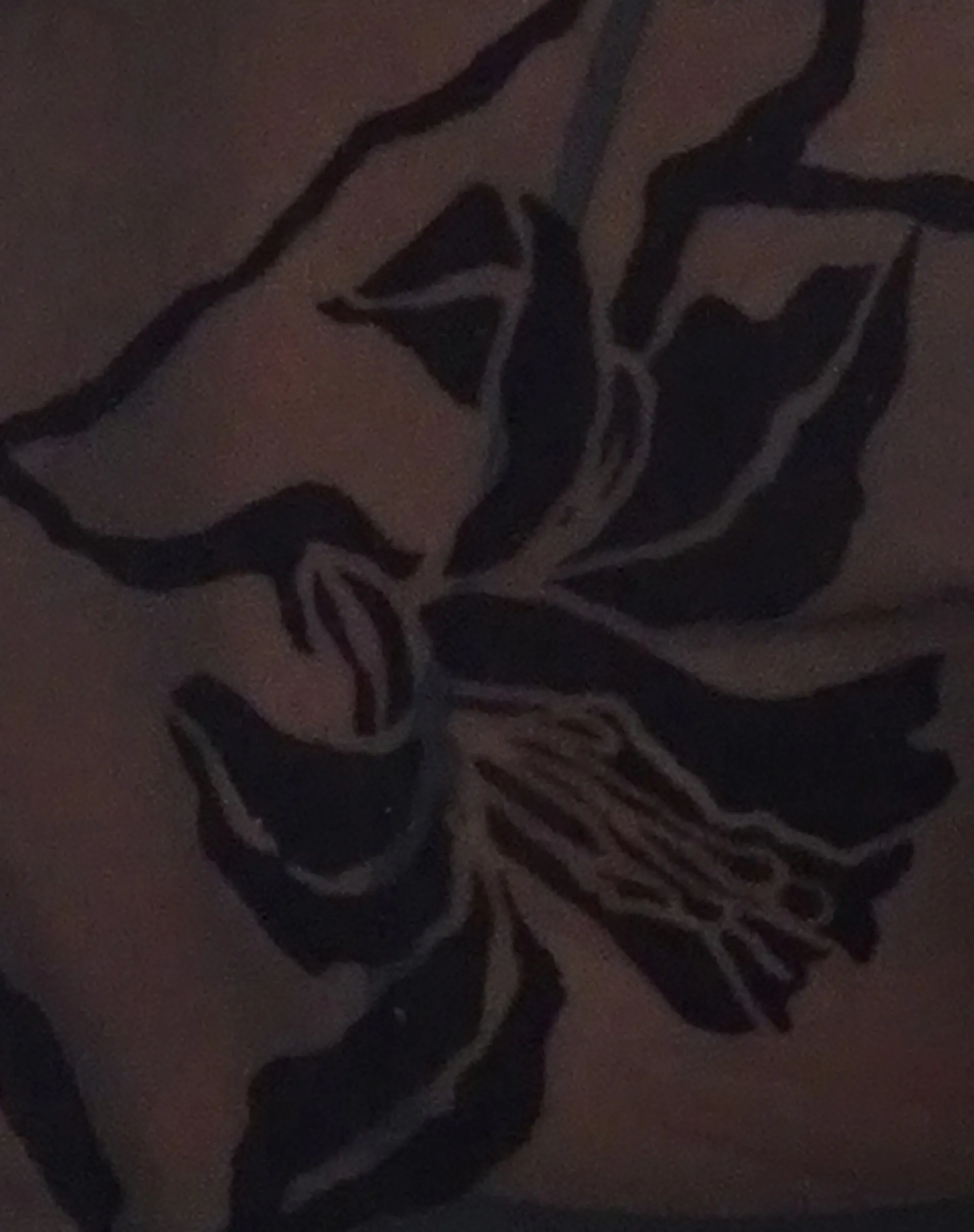 Motel Rocks Printed Tops | Going Out Tops-Nova Top in Orchids Flock Black orchidsflockblack