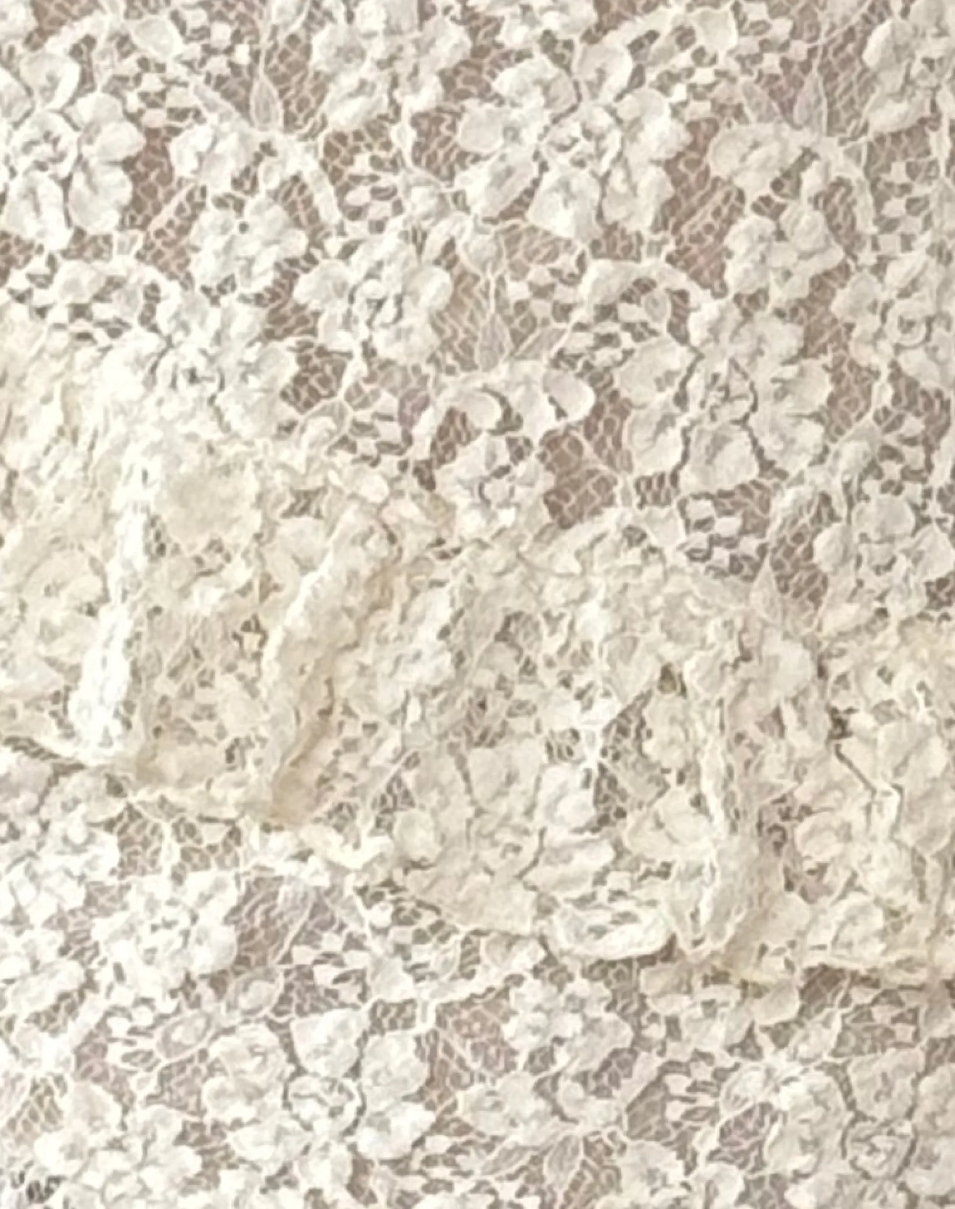 Motel Rocks Strappy Tops | Lace Tops-Octavia Asymmetric Cami Top in Lace Ivory LaceIvory