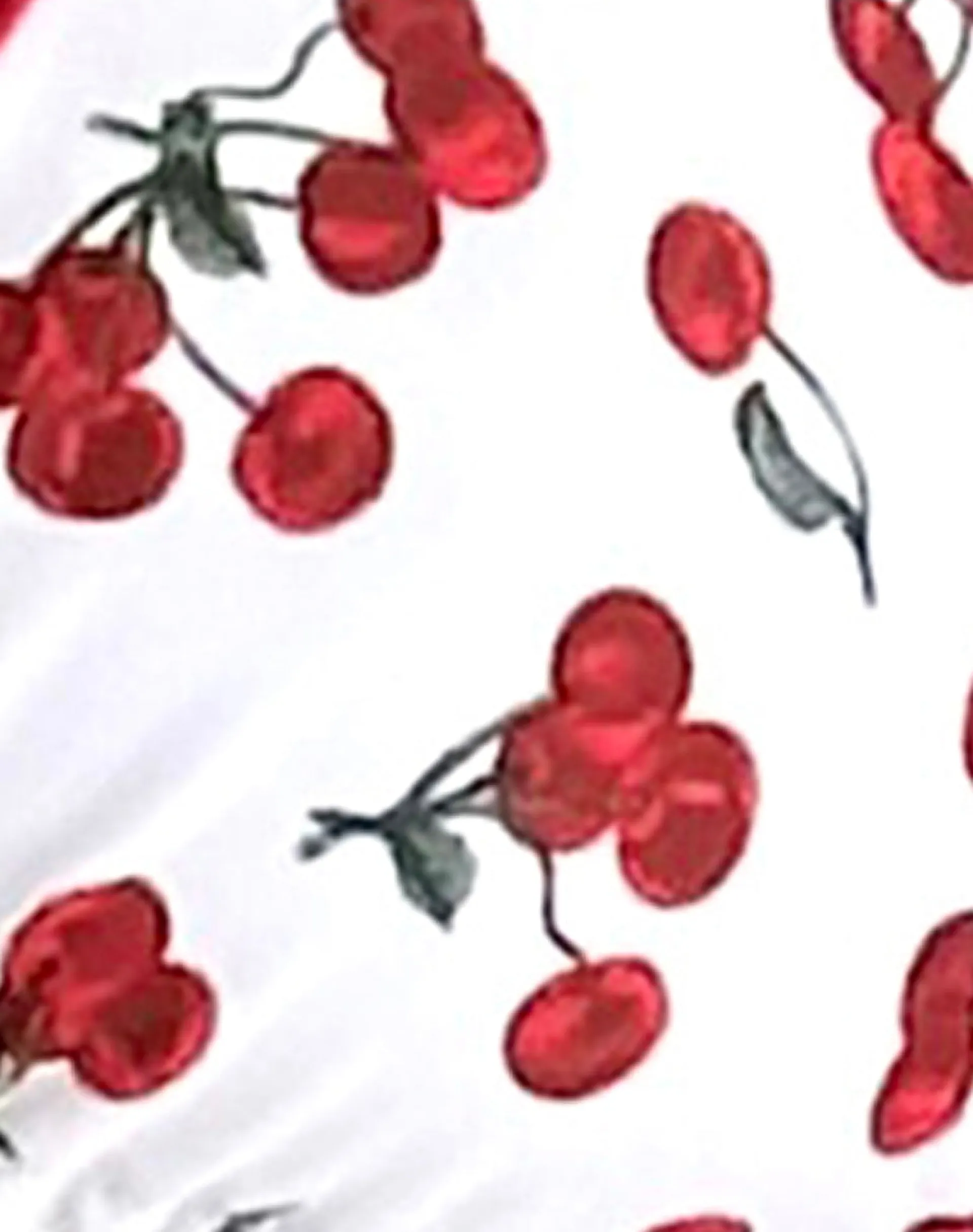 Motel Rocks Swimwear-Pami Bikini Top in Cherries with Contrast Binding CherrieswithContrastBinding