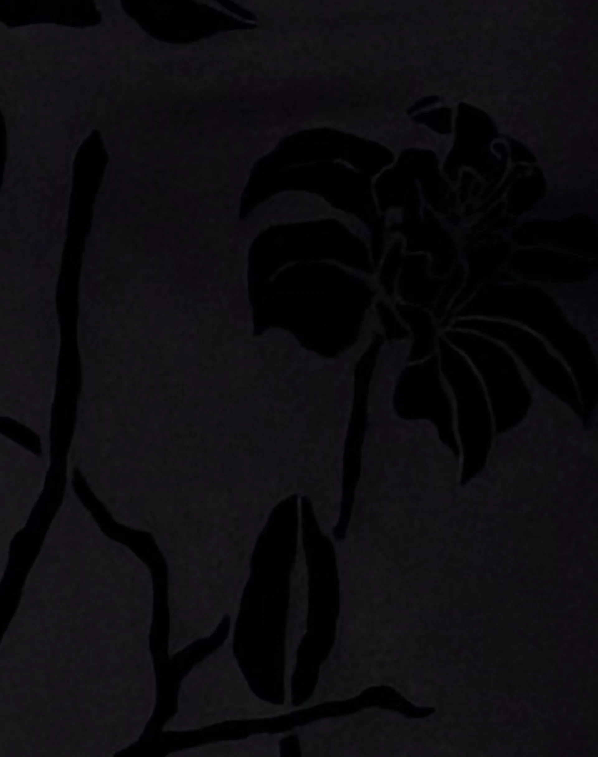 Motel Rocks Printed Dresses | Bodycon Dresses-Ribka Halterneck Midi Dress in Orchids Flock Black orchidsflockblack