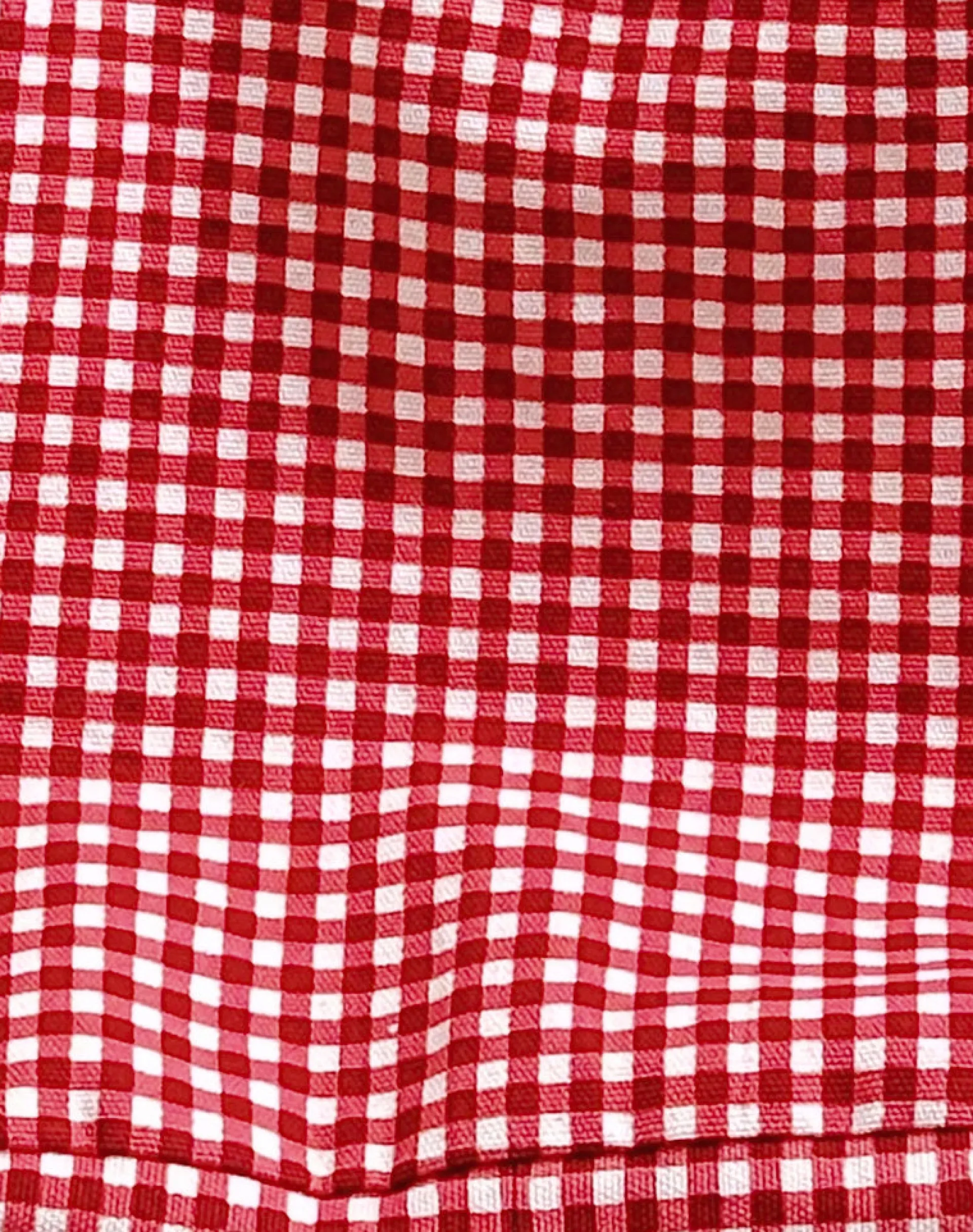 Motel Rocks Accessories-Roscoe Bag in Red Gingham