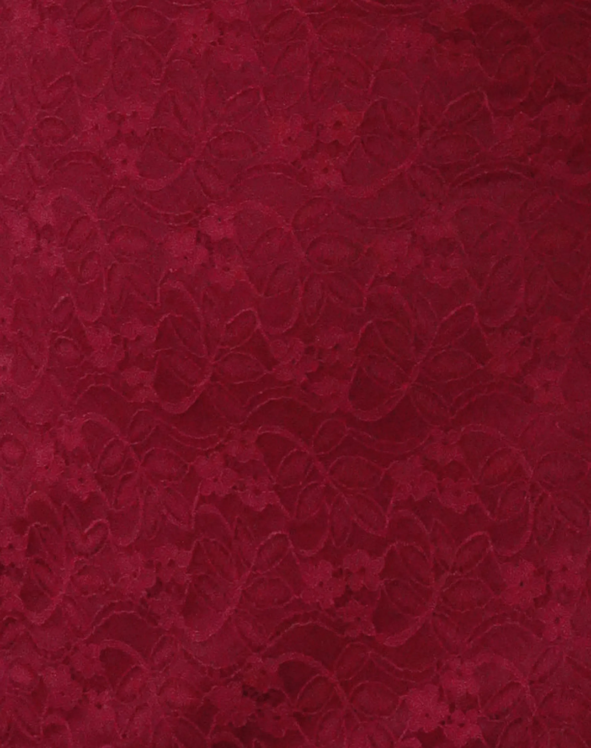 Motel Rocks Day Dresses | Bodycon Dresses-Sevila Long Sleeve Mini Dress in Deep Red Lace DeepRedLace