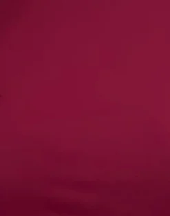 Motel Rocks Basics | Basic Tops-Xiwang Crop Top in Burgundy